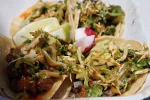 kogi